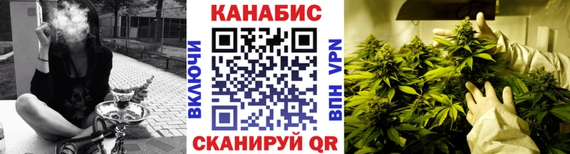 Купить где  Красный Сулин  МАРИХУАНА SATIVA & INDICA 
